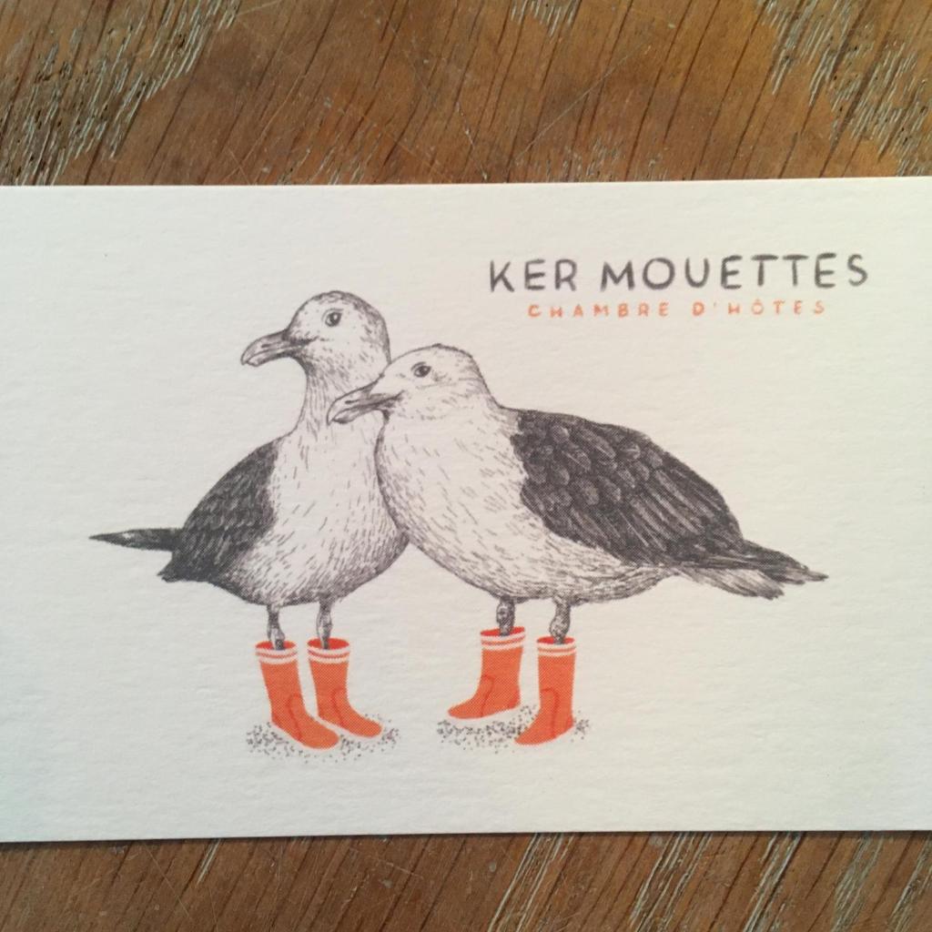 Ker Mouettes photo 1