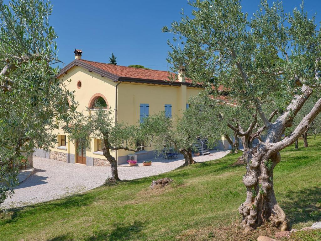 Cason degli Ulivi photo 4