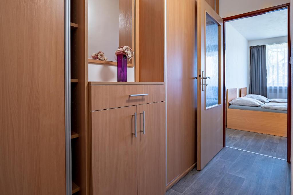 Apartmány a Studia Zámecký park photo 4