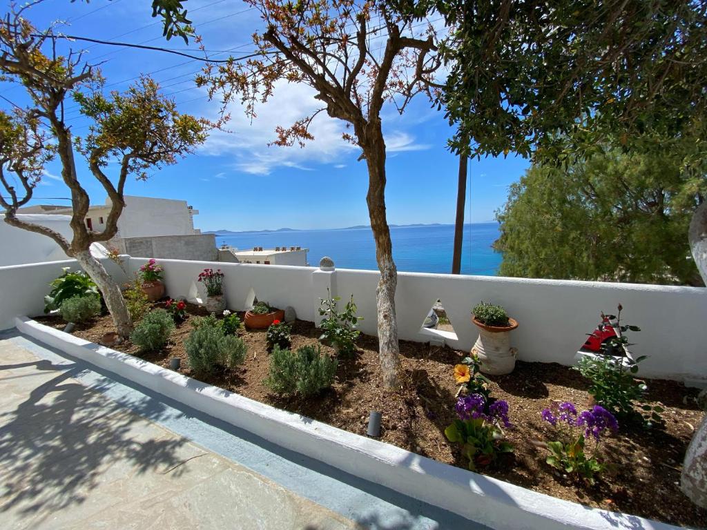 Zisis Pension photo 4