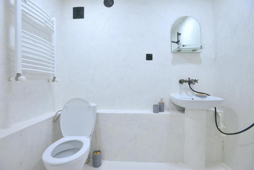 The Zodiac Garden Hotel photo 3