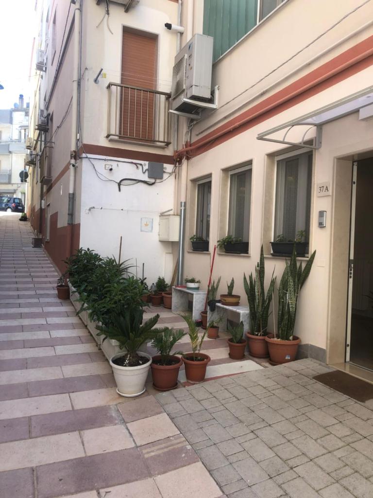 B&B Il Sogno photo 2