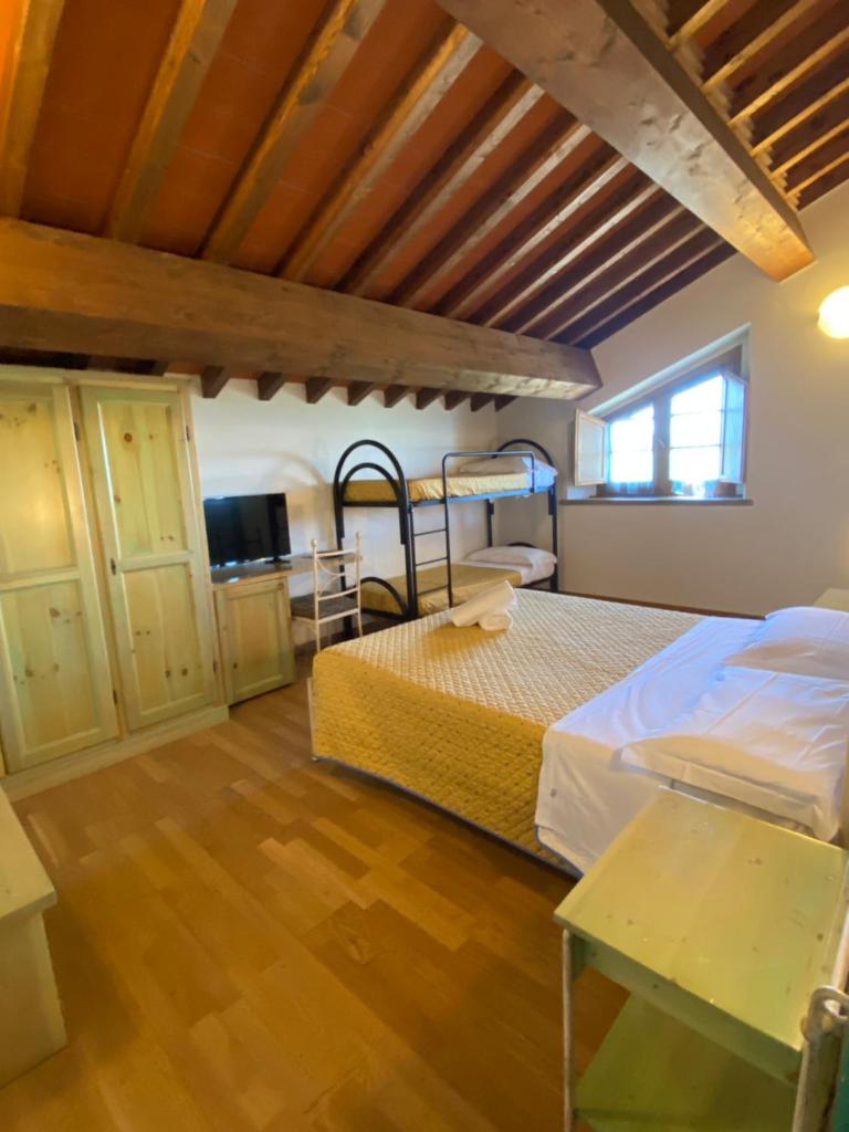 Tenuta La Lupa photo 4