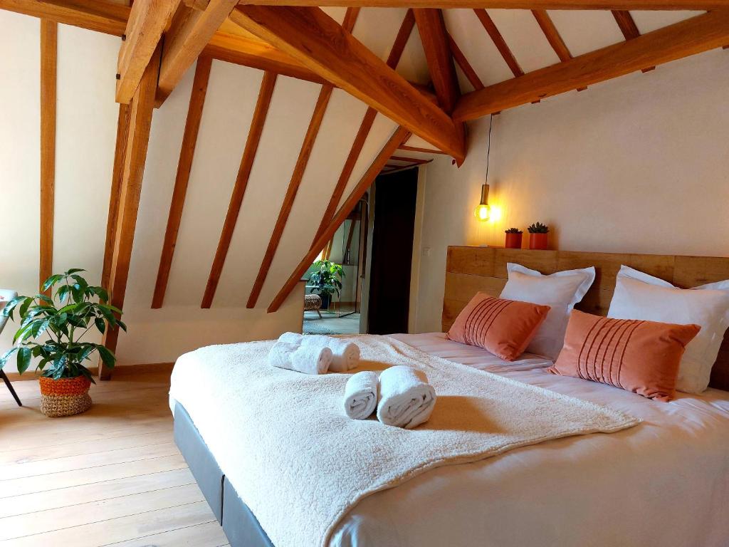 Les Suites de Petit Bomal photo 4