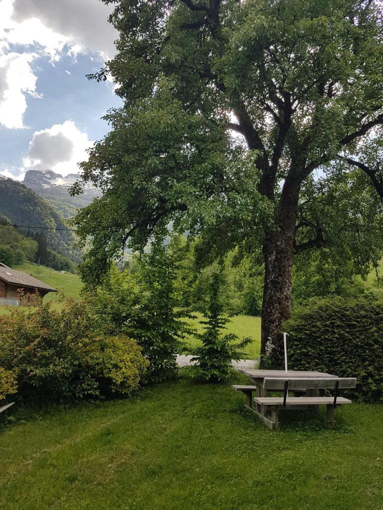 Chalet d'en Ô photo 2
