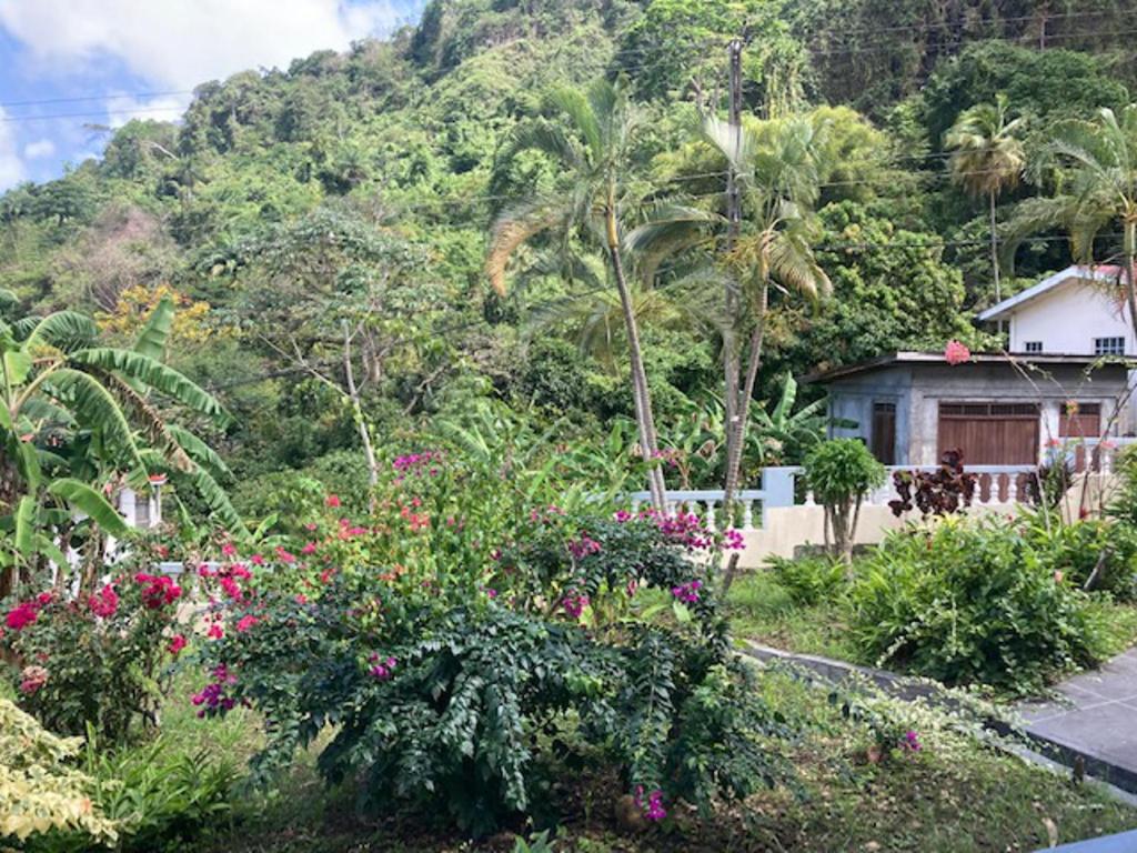 Stunning 2-Bed Apartment in Grand Roy Grenada photo 3