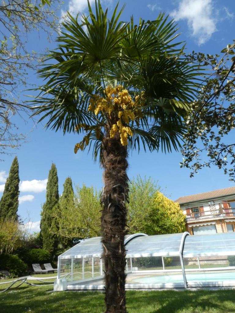 Iaorana photo 1