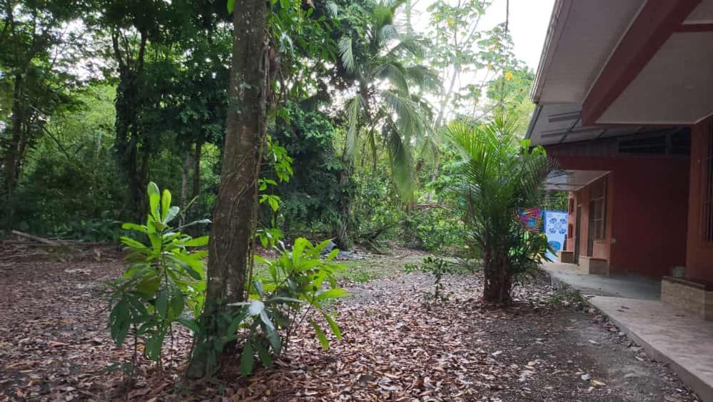 Hostel Manuel Antonio Park Jungle photo 4