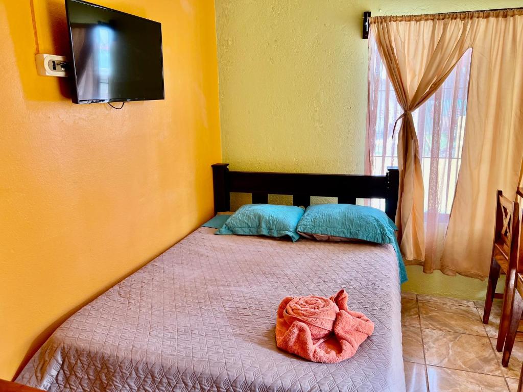 Apartamentos M&M photo 4