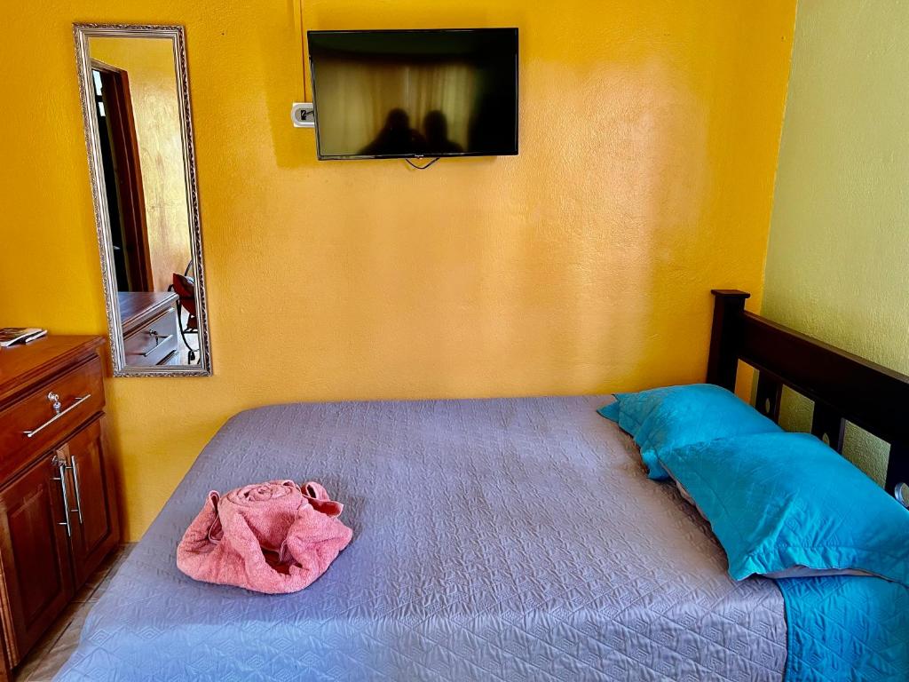 Apartamentos M&M photo 3