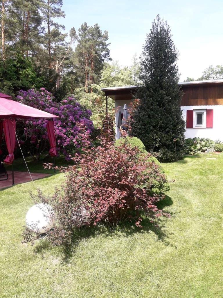Ferienhaus am Langen See photo 1
