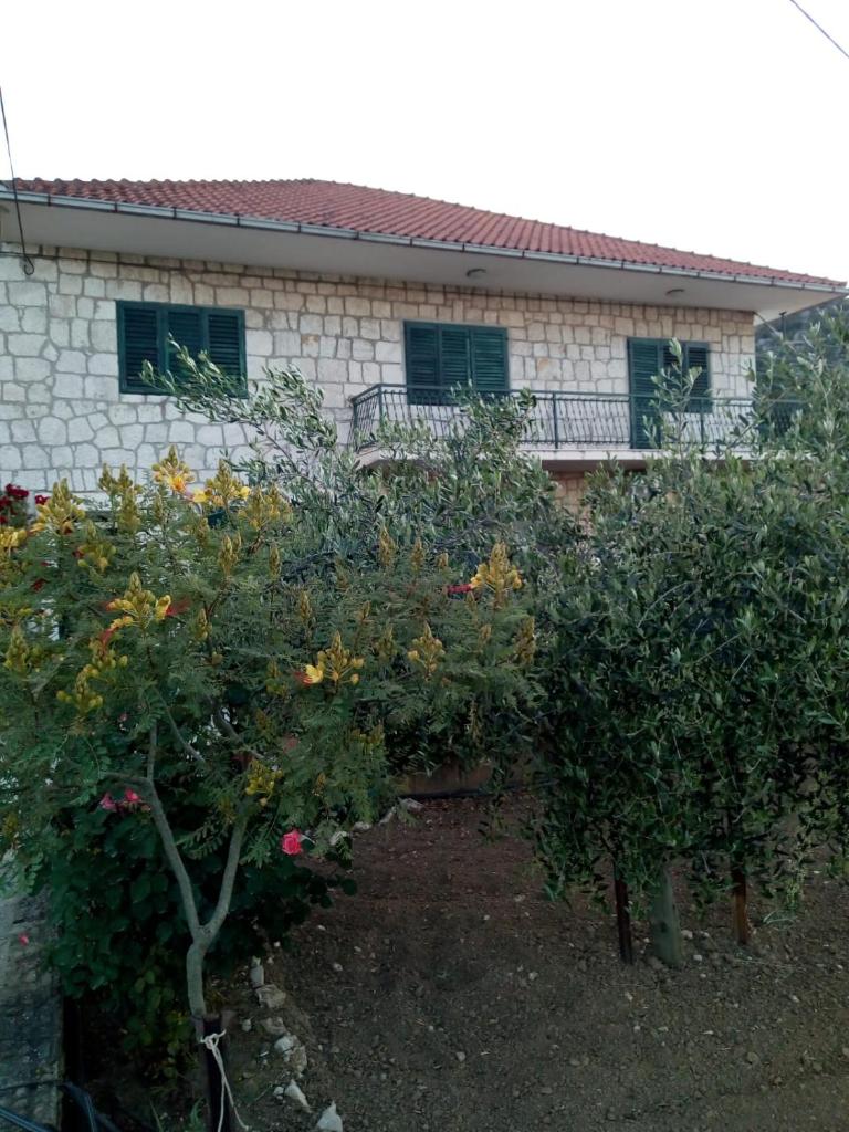 Apartman Maša photo 1