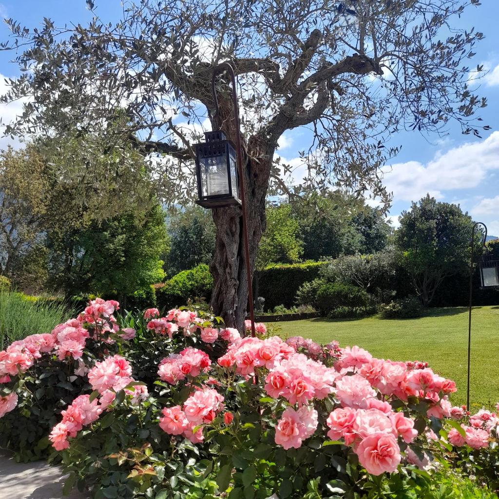 Villa la provenzale photo 2