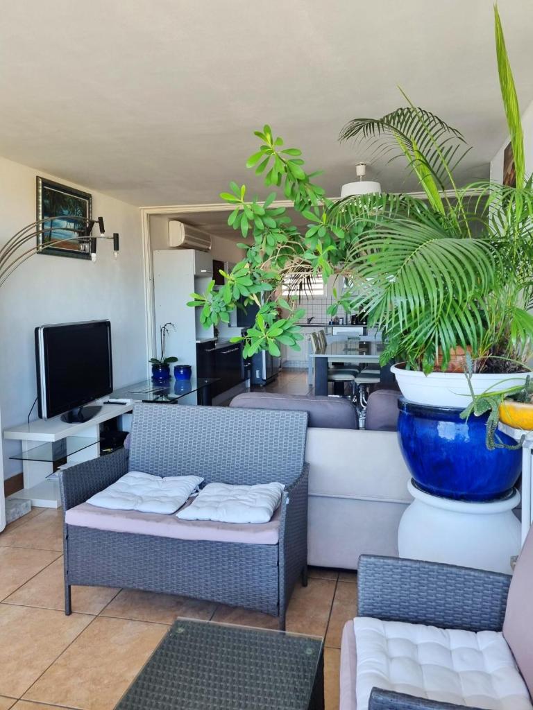 Appartement de 2 chambres avec vue sur la mer terrasse amenagee et wifi a Saint Gilles les Bains a 1 km de la plage photo 2