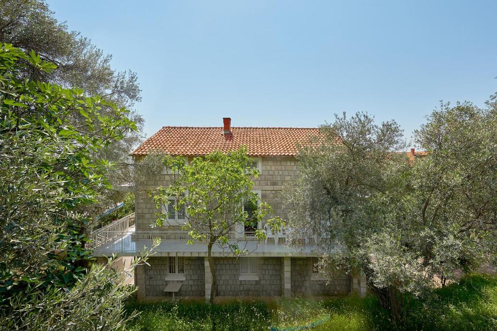 Apartmani Kuća u maslinama photo 2