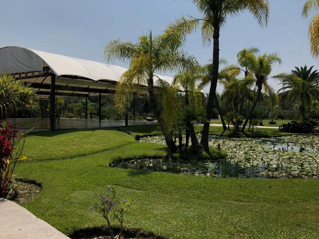Huayacán Cuernavaca Curamoria Collection photo 3