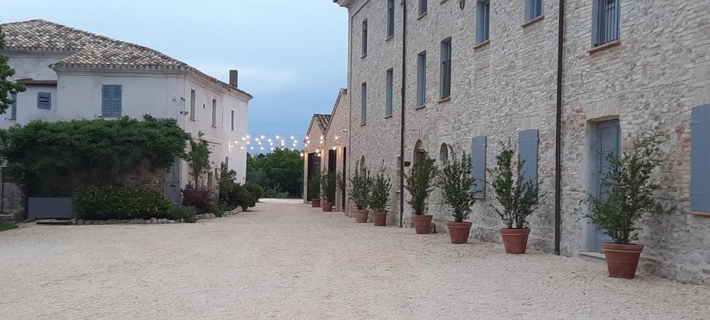 Tenuta Coppa Zuccari photo 1