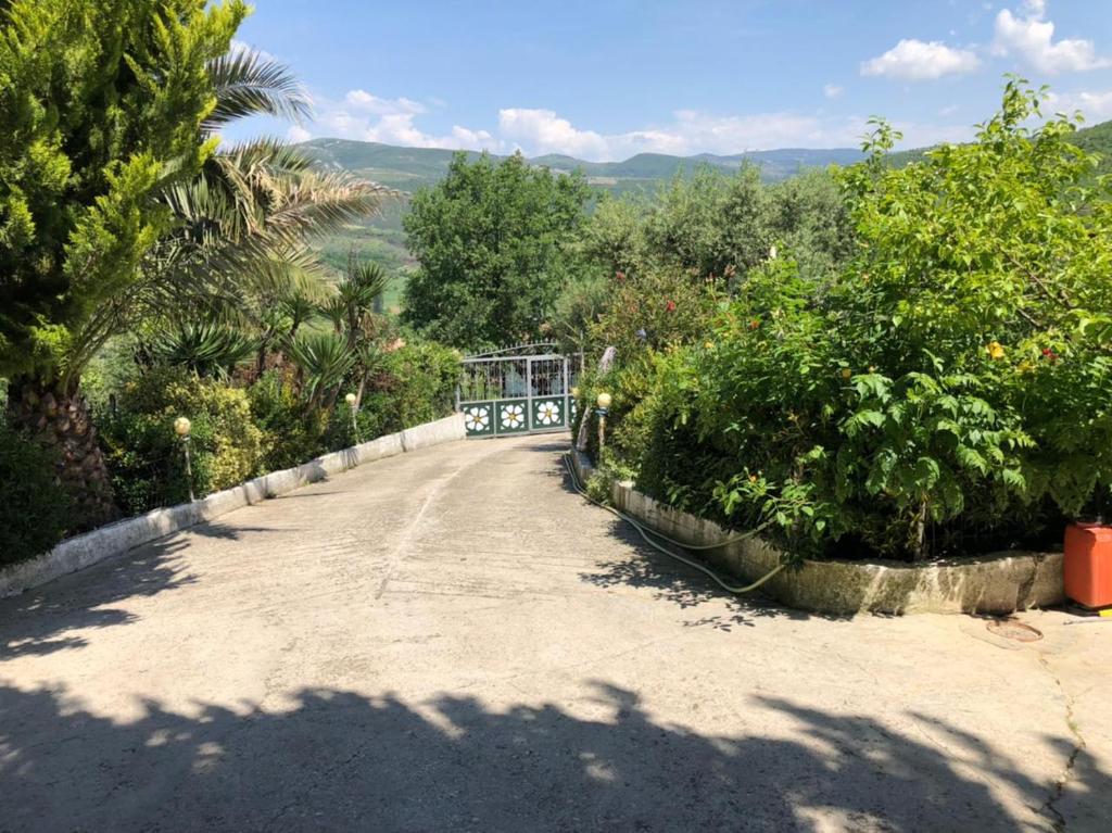Villa Mukaj photo 3