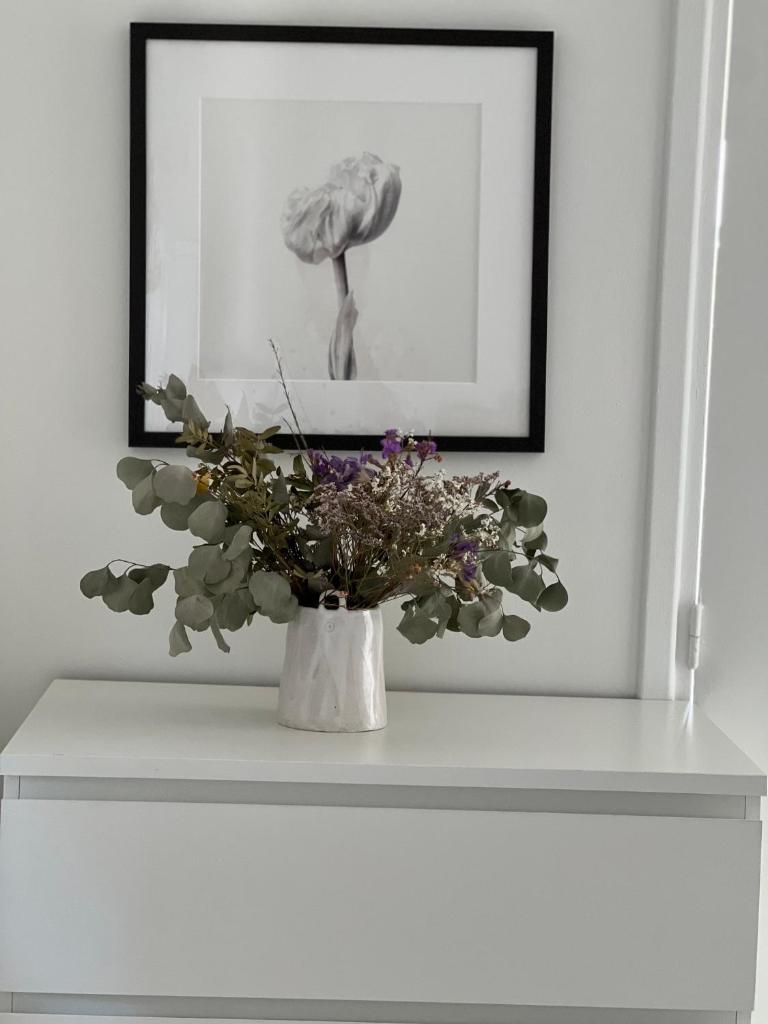 Apartment Borromees photo 4
