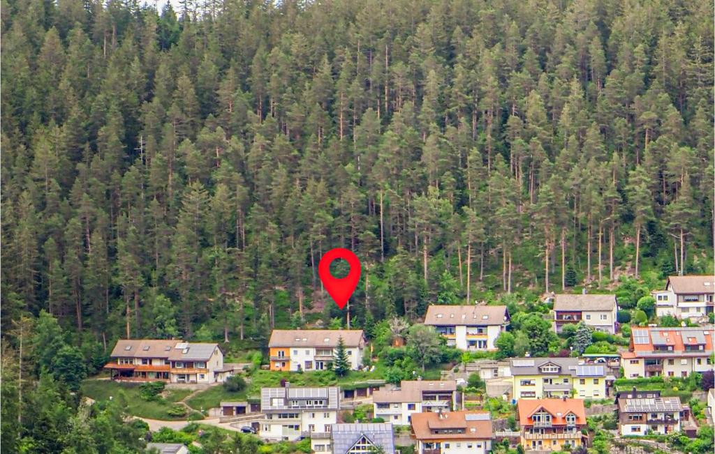 Beautiful Apartment In Schonach Im Schwarzwal With 1 Bedrooms And Wifi