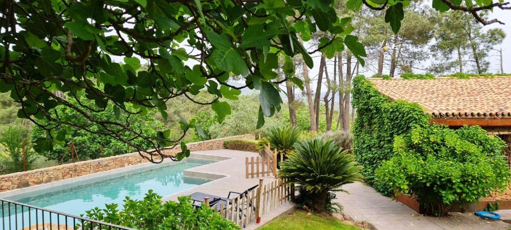 Casa Rural Sierra de Aguafría. Finca El Robledillo photo 2