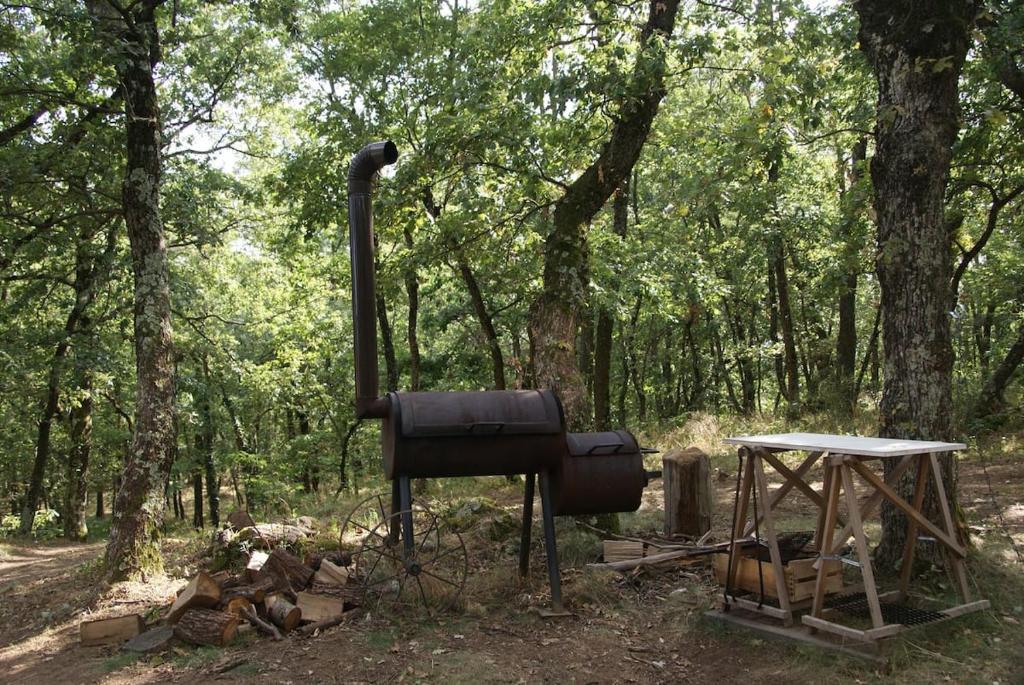 Chez Buddy - cabane de trappeur photo 2