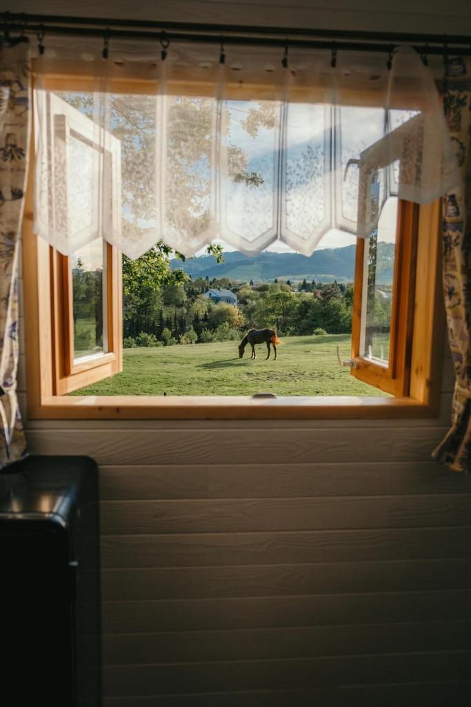 Chata u lesa RANCH NA HRANICI photo 2
