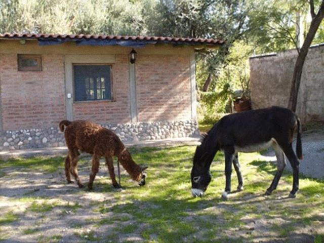 Hotel Rustico Cerro Del Valle photo 3