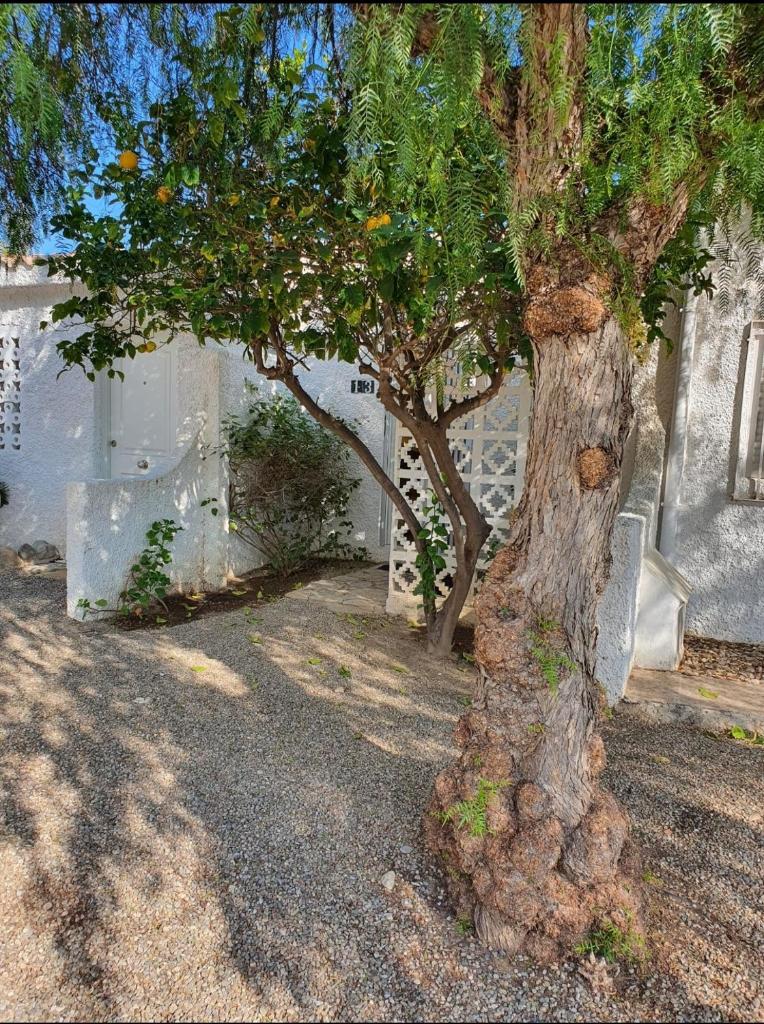 casa la Medina nudista photo 2