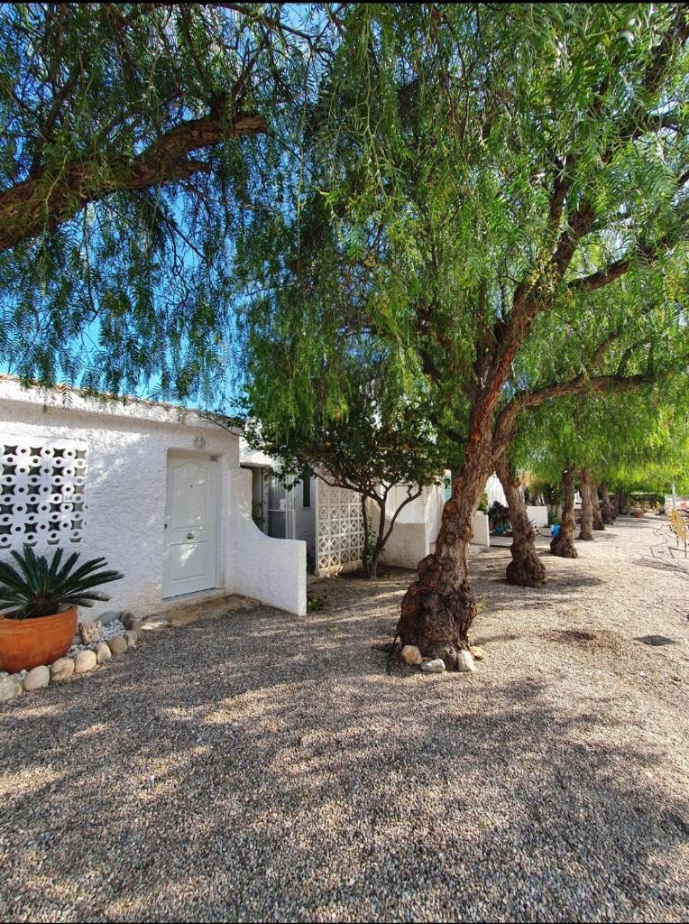 casa la Medina nudista photo 1