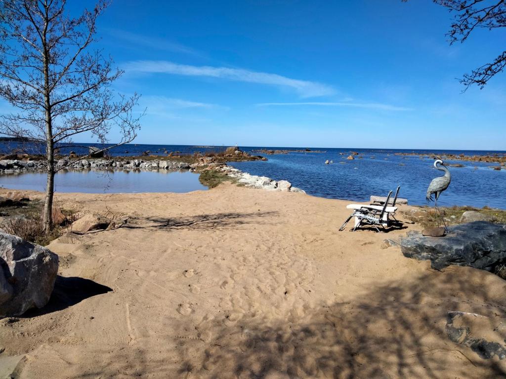 Nelikko ja riihisauna , juhla- majoitustilat photo 2