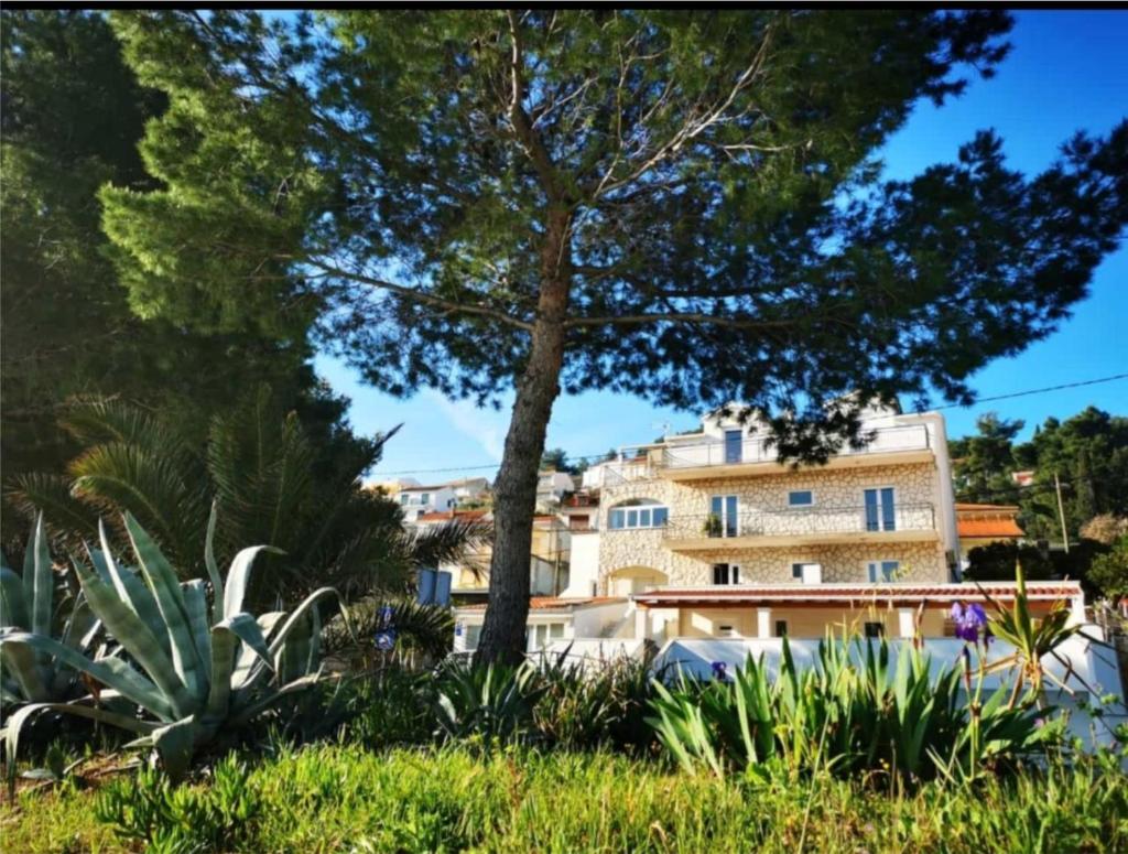 Apartments Penić