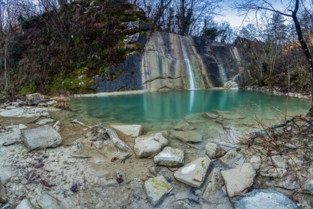 Istrian Experience photo 3