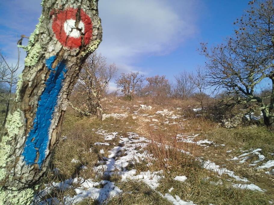 Istrian Experience photo 1