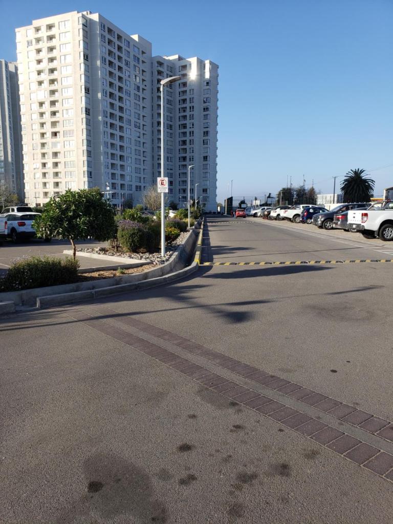 Marina Sol 310 photo 2