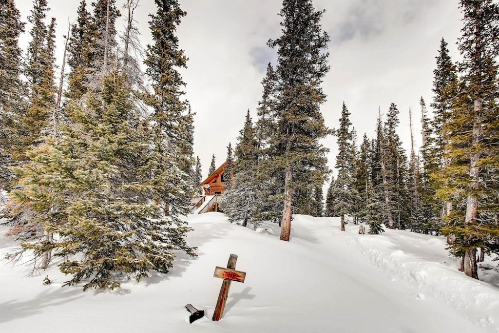 Stay at the Treeline with Fabulous Views! On Top of the World at Ptarmigan Lodge photo 4