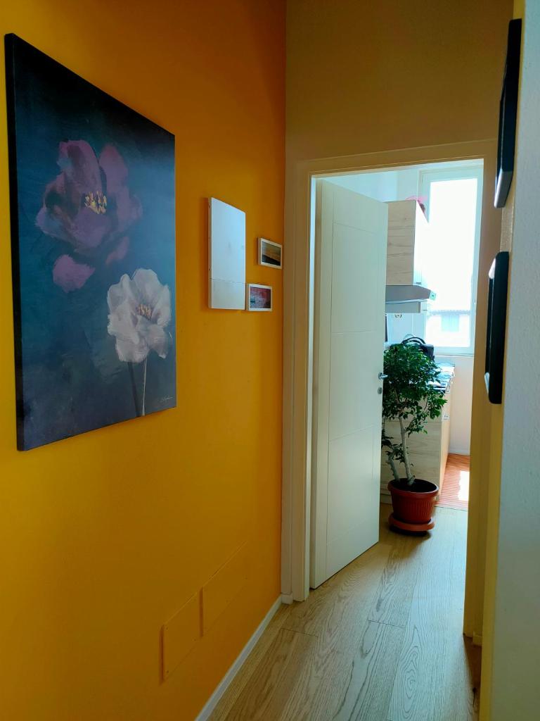 MonoPat photo 4