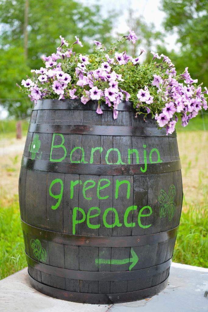 Baranja green peace photo 2