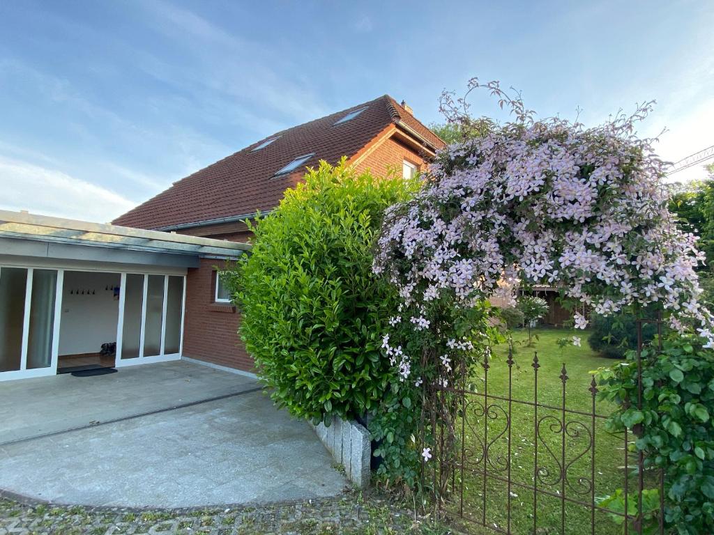 Haus Lisa photo 1