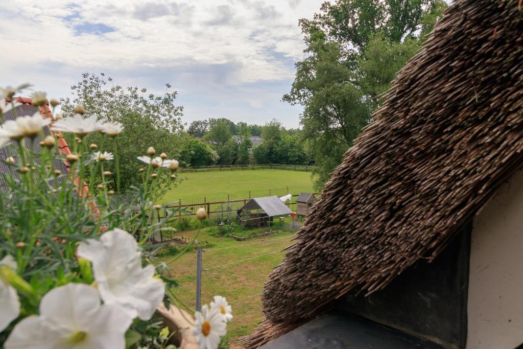 Het Grote Paard photo 4