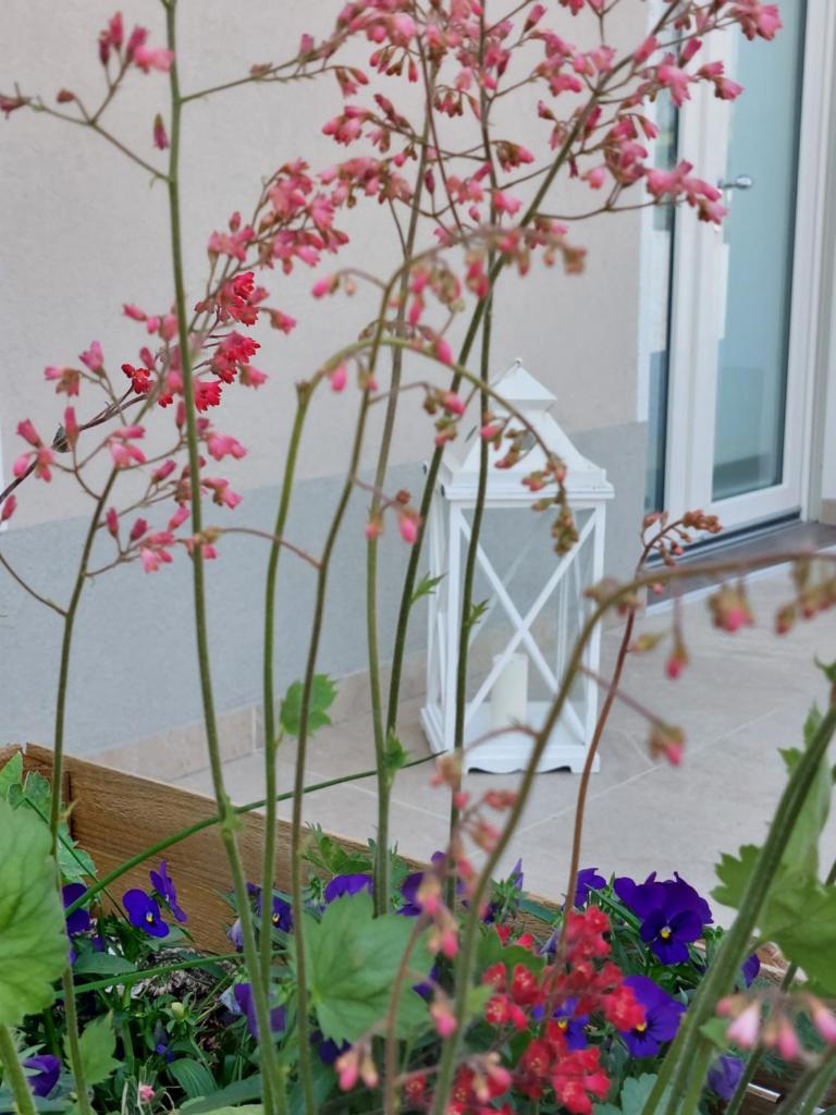 CASA AUTUNNO photo 1