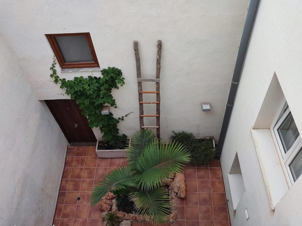 Apartamentos del Tenor photo 2