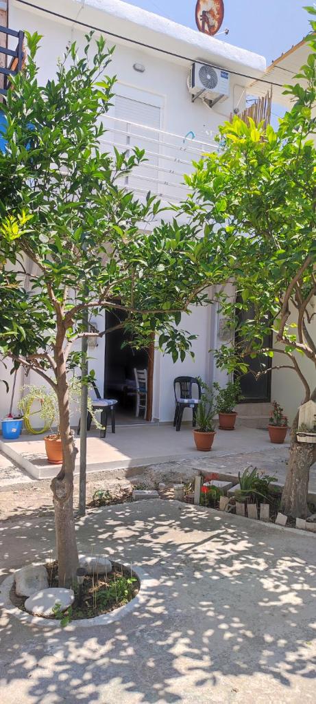Platia Studios photo 3