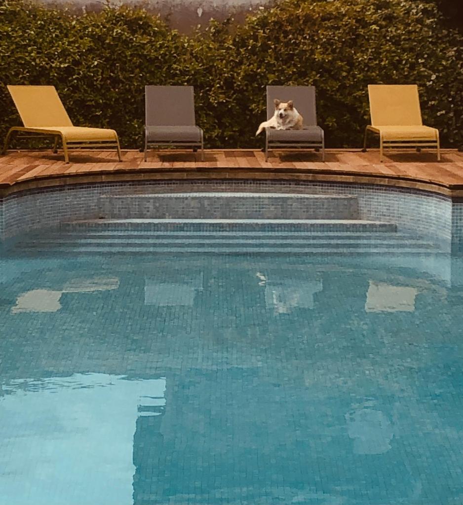 Villa Eva des landes photo 2
