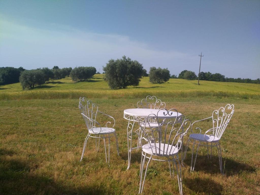 Podere San Giuseppe photo 3