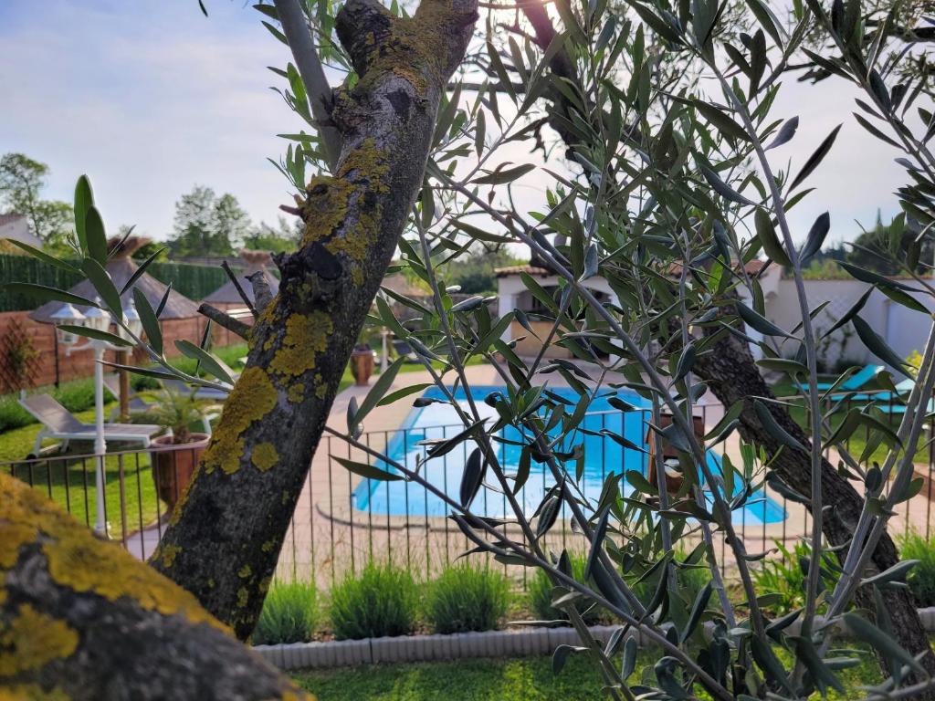 Les chambres d'hôtes d'Eloïse, piscine privée photo 2