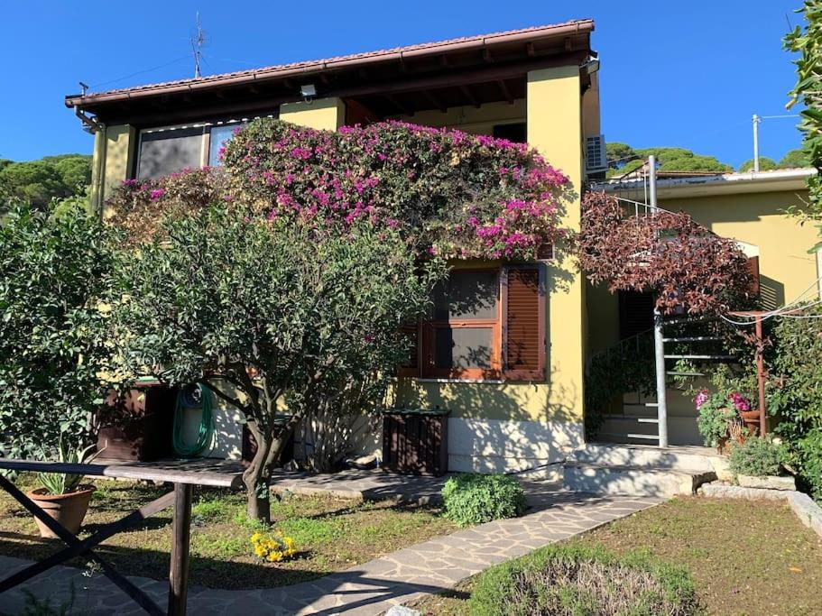 casa vacanze la palma photo 3
