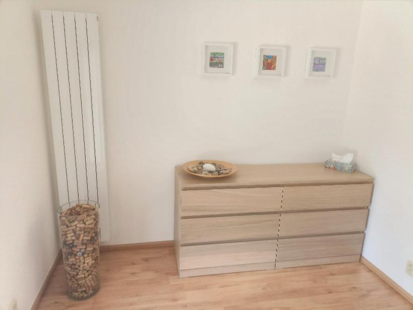 Ubytování U Vrbičky - blízko Prahy photo 4