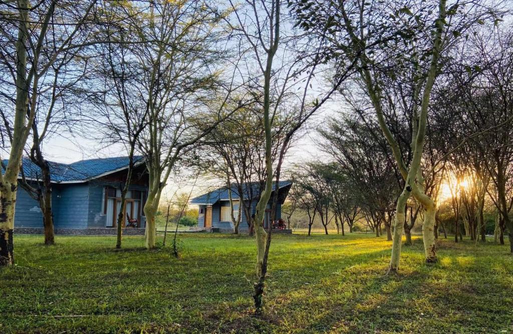 Mara Sweet Acacia Lodge photo 3
