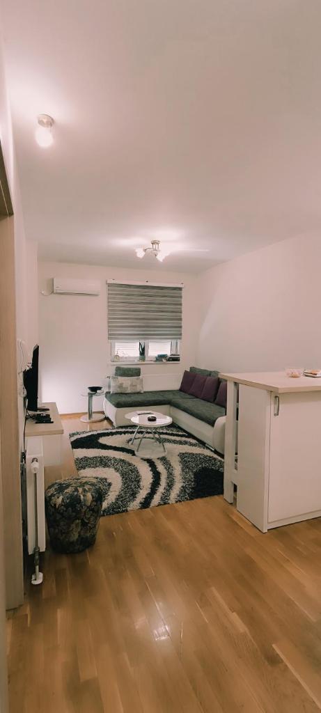 Yasmin Apartment (Pozega in Serbia) photo 4